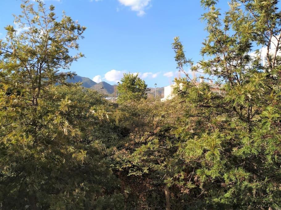 Brisa Quebrada Beach, 2 Bed, Sea Views, Pool ベナルマデナ エクステリア 写真